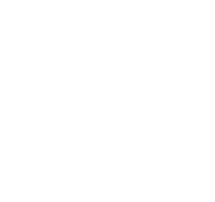 insignia logo